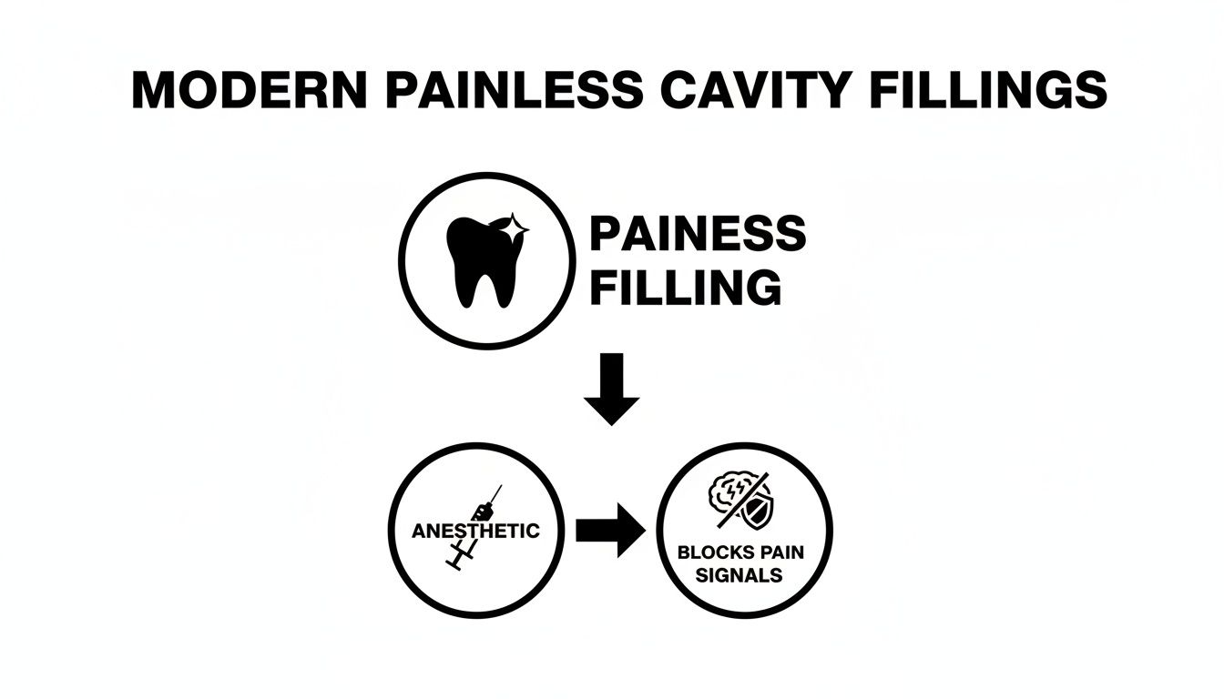 An infographic illustrating modern painless cavity fillings, showing anesthetic blocking pain signals for a comfortable dental experience.
