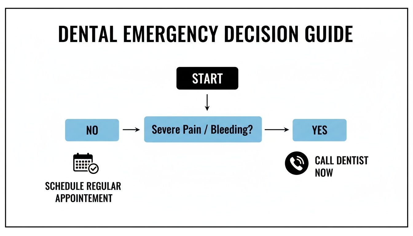 A dental emergency decision guide flowchart that directs users to call a dentist for severe pain or bleeding.