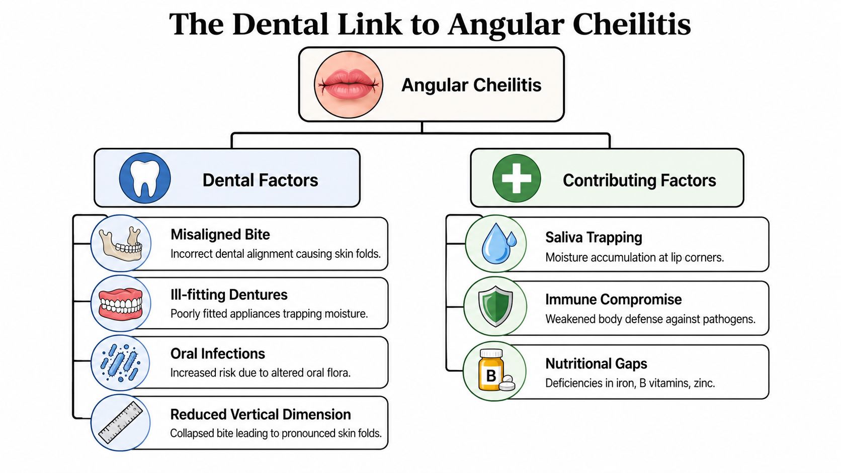 An infographic titled The Dental Link to Angular Cheilitis, detailing various dental and contributing causes for lip cracks.