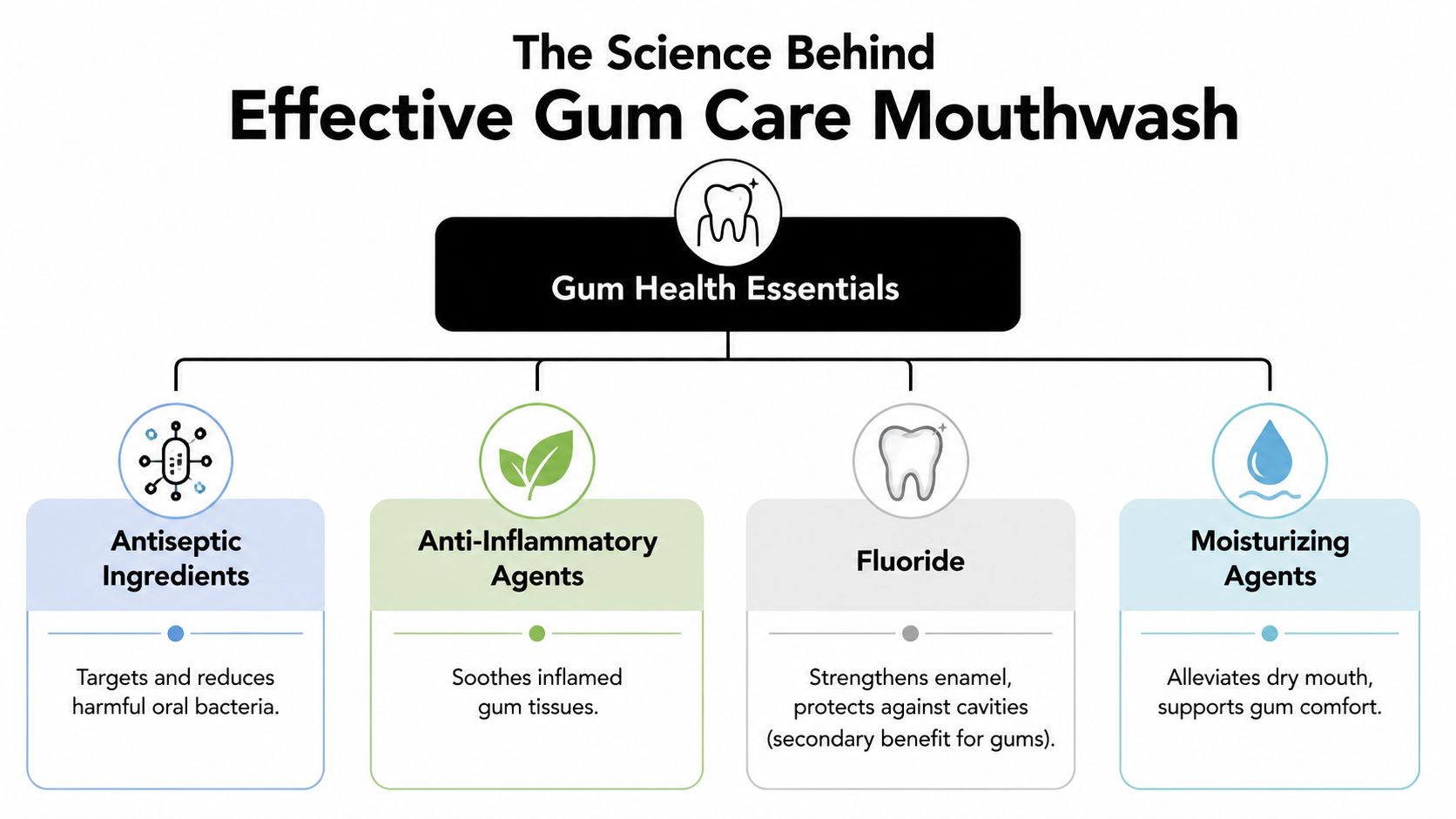 An infographic showing the four essential ingredients for effective gum care mouthwash and their benefits.