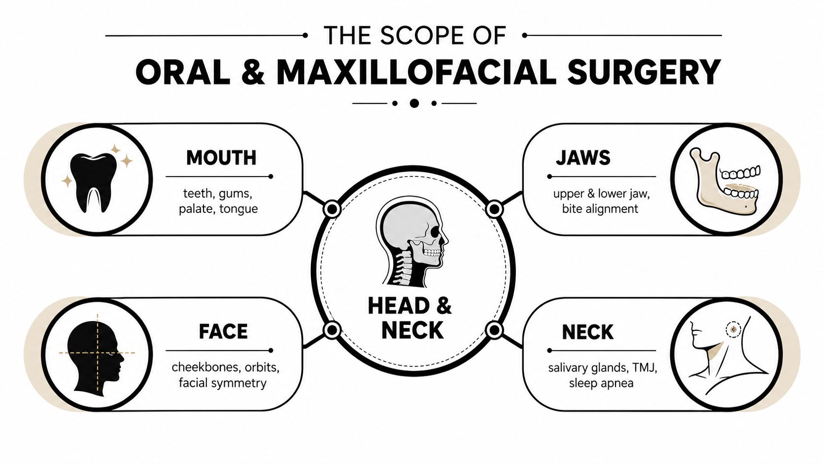 An infographic showing the scope of oral and maxillofacial surgery covering the mouth, jaws, face, and neck.